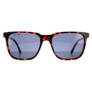 Lacoste Sunglasses L910S 220 Havana Red Solid Blue