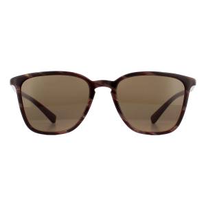 Dolce & Gabbana DG4301 Sunglasses